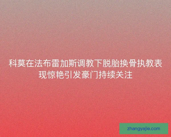 科莫在法布雷加斯调教下脱胎换骨执教表现惊艳引发豪门持续关注