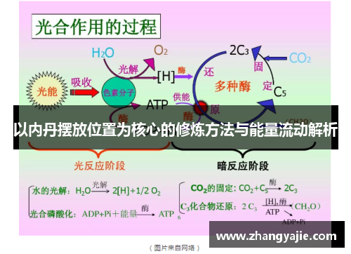 以内丹摆放位置为核心的修炼方法与能量流动解析